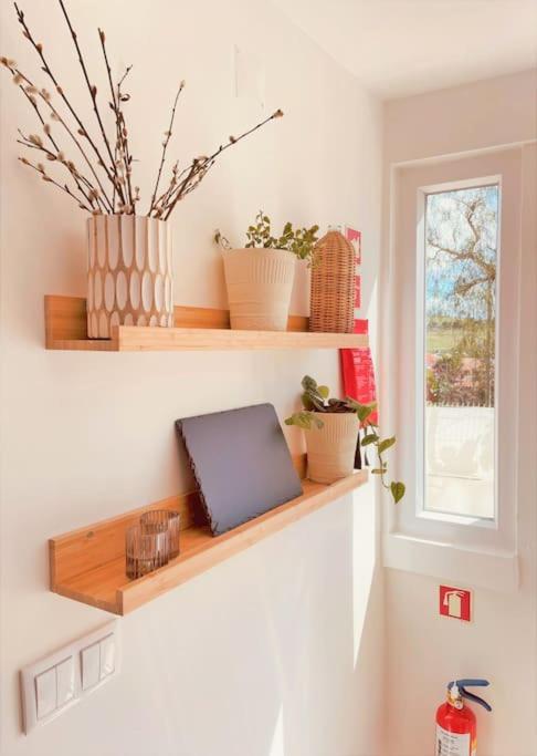 Apartamento Cozy With Private Courtyard Barcarena