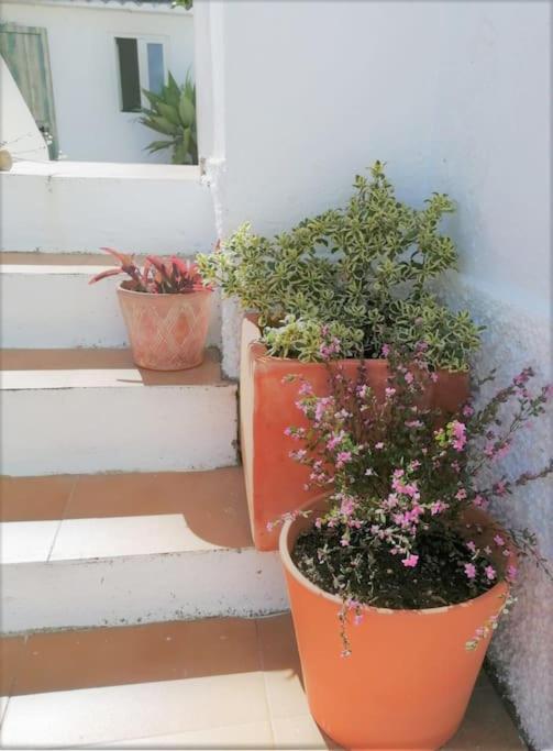 Cozy With Private Courtyard Apartamento