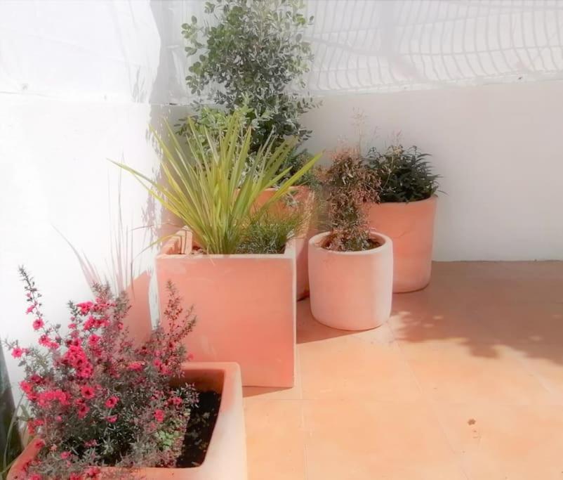 Cozy With Private Courtyard Apartment